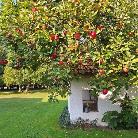 Apfelhaus Apartman *