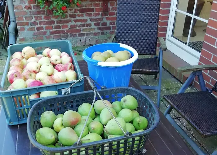 Apfelhaus アパート *