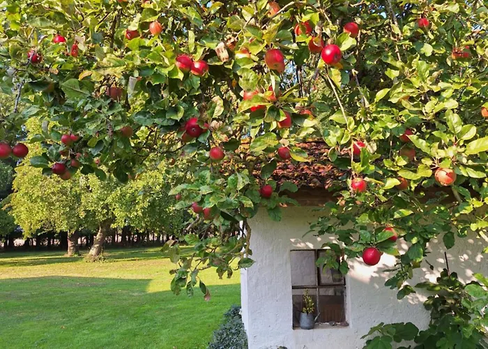 Apfelhaus アパート *